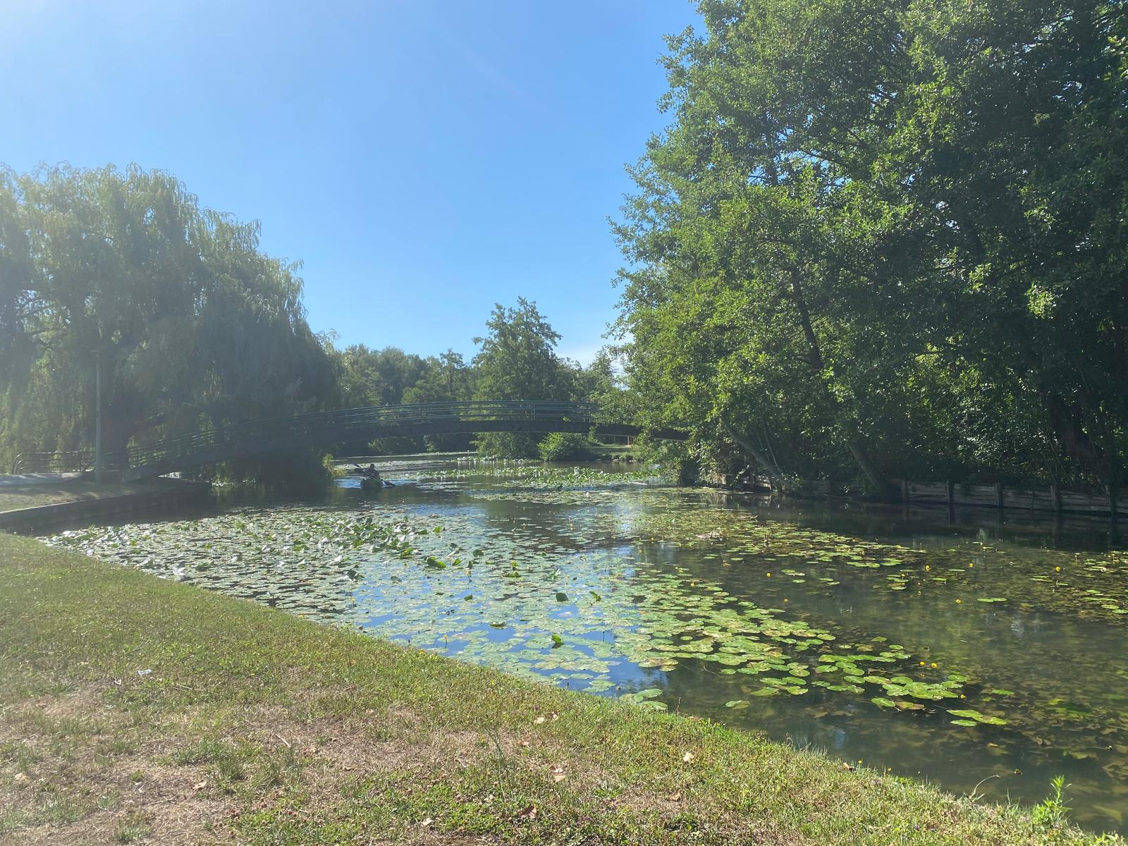 canoë sur le Loing entouré de nénuphar