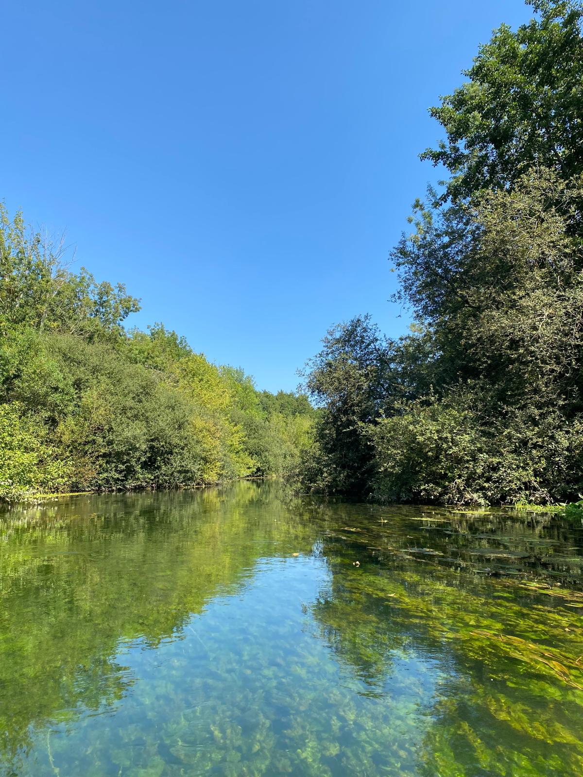 Balade en canoë sur le Loing
